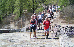 Walkers at Altavista