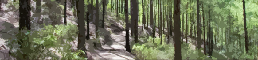 gran canaria walk updates